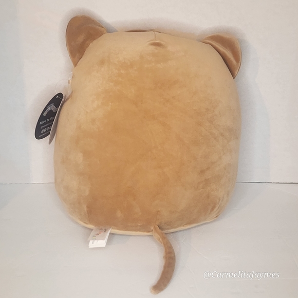 🖤 QUITO 🐻 Select Series Black Tag Quito Original Squishmallow ☆》NWT《☆ - Picture 7 of 10